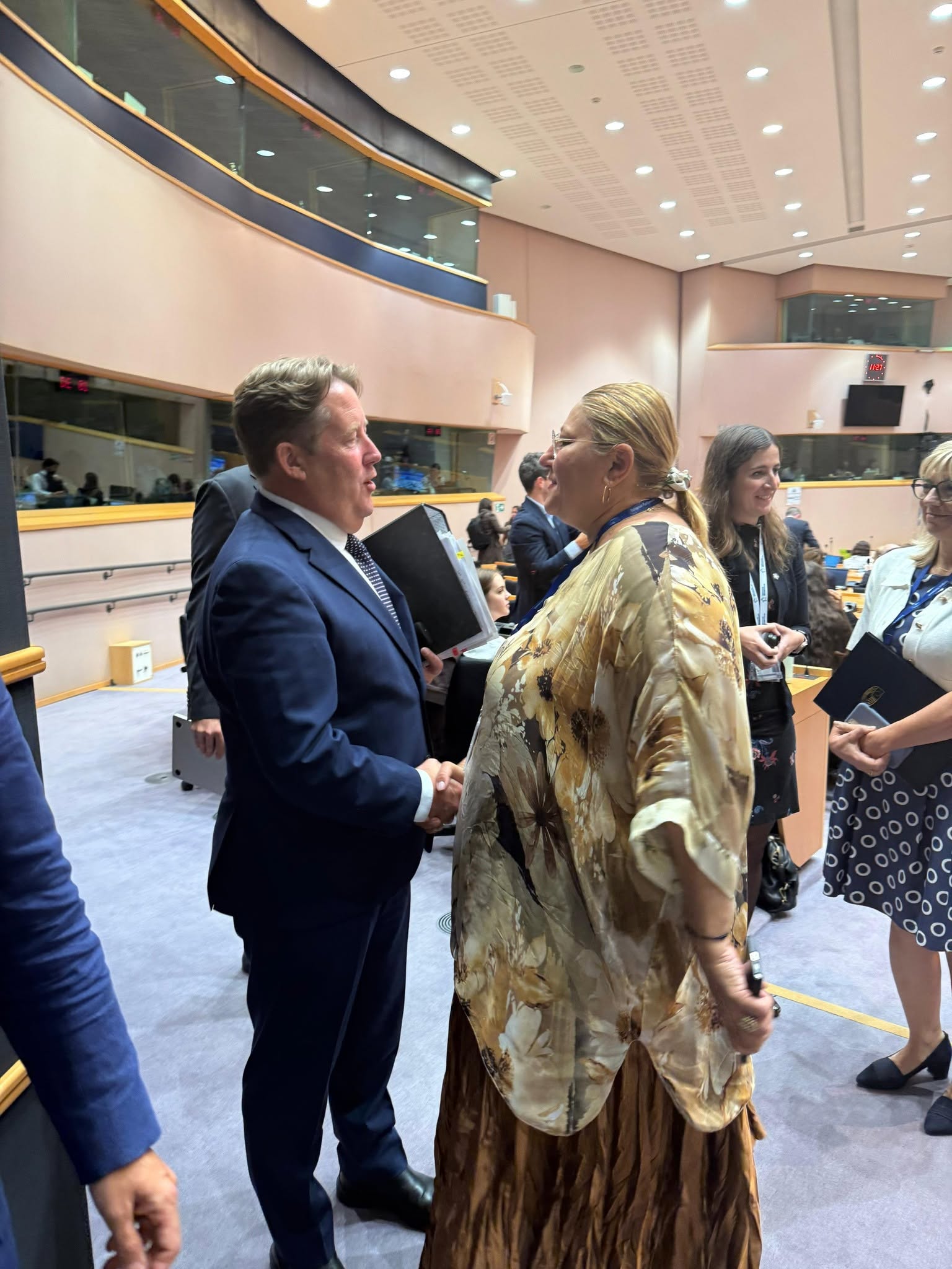 Diana Iovanovici-Șoșoacă în discuție cu ministrul irlandez Darragh O’Brien